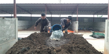 महानगरले सुरु गर्‍यो कम्पोष्ट मल बनाउन, बञ्चरेडाँडामा पनि उत्पादनको तयारी